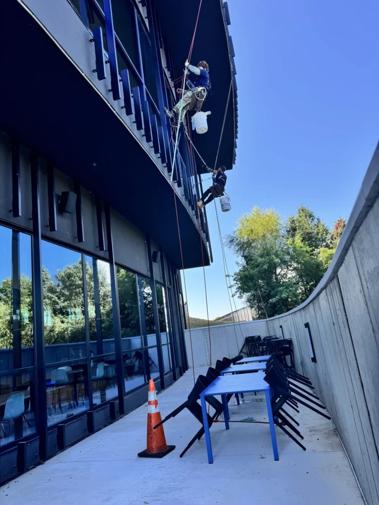 Top of the Line rope-access technician cleaning commercial windows in Ashburn, Virginia