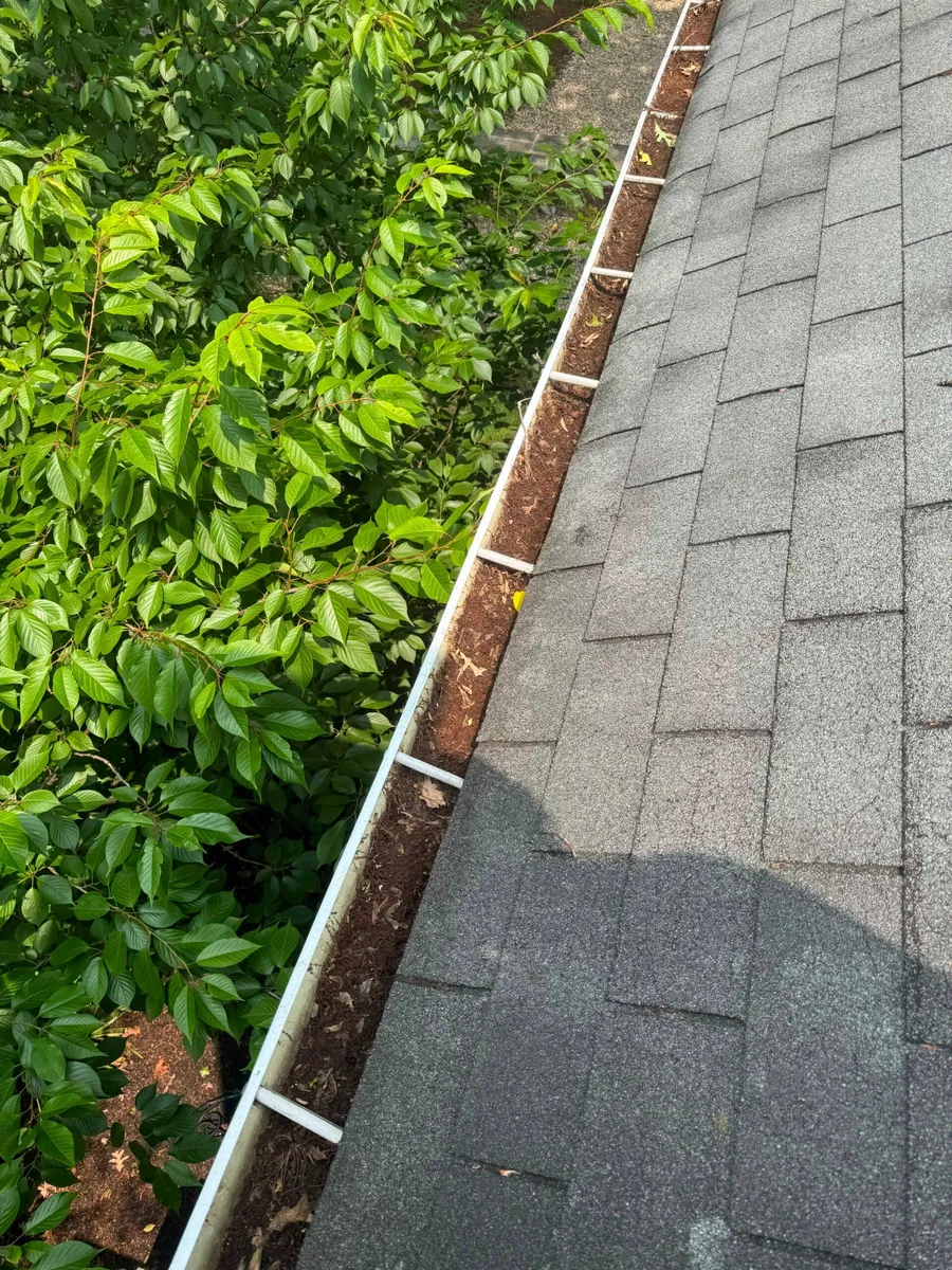 Organic buildup and debris obstructing an accessible gutter channel before service.