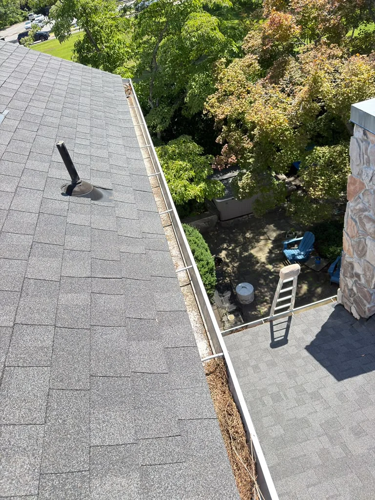 Leaves and debris collected in a residential gutter
